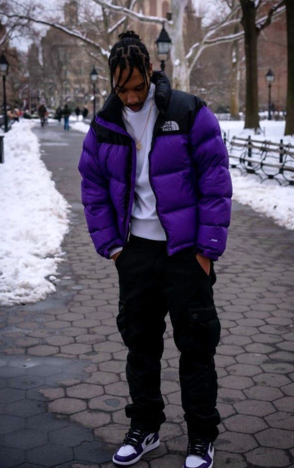 CHAQUETON THE NORTH FACE HOMBRE